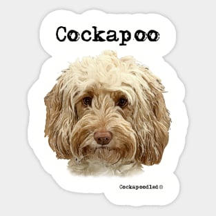 Golden Apricot Cockapoo / Spoodle and Doodle Dog Sticker